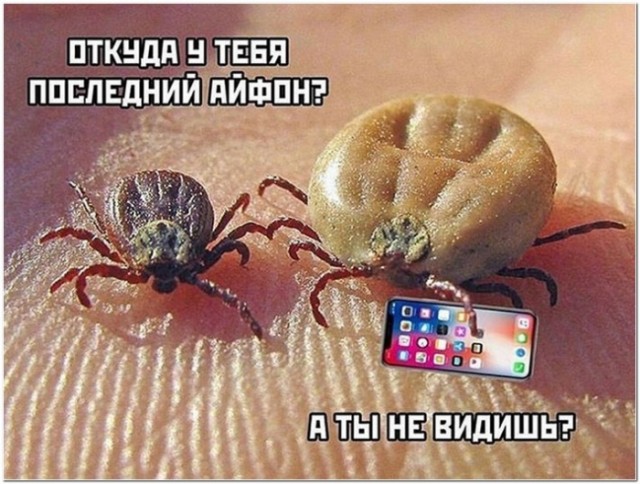 Картинки и мемы для настроения 004