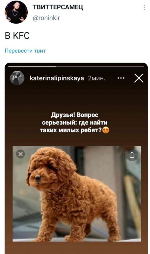 Картинки и мемы для настроения 019