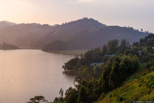 Уганда: самая настоящая Африка с гориллами и носорогами!
