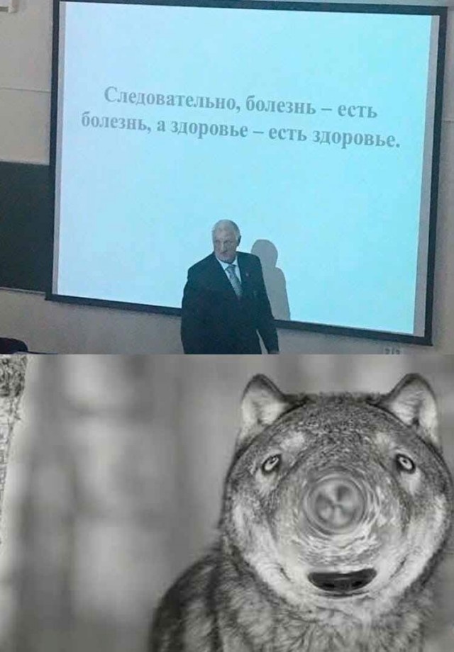 Картинки и мемы для настроения