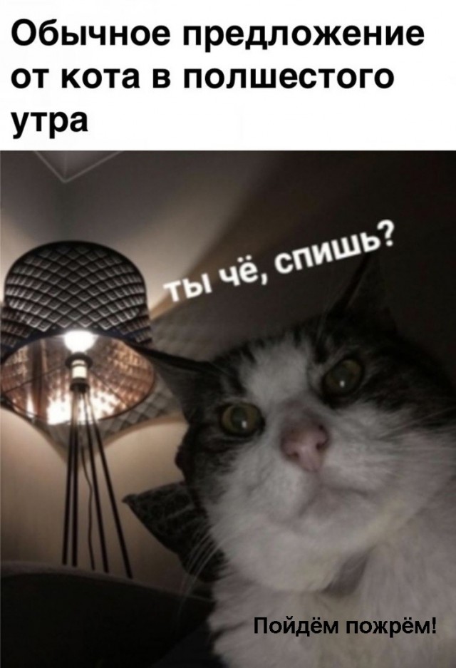Картинки и мемы для настроения 016
