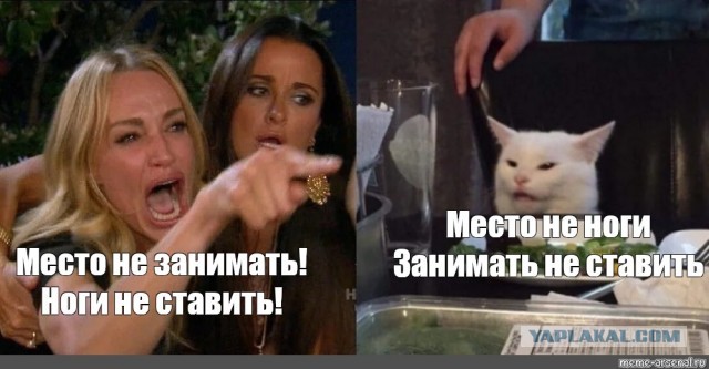 Весёлый полтишок 19.04