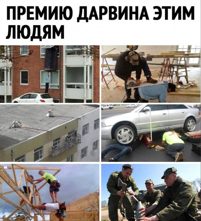 Кретинизмы из сети 19.08.2021