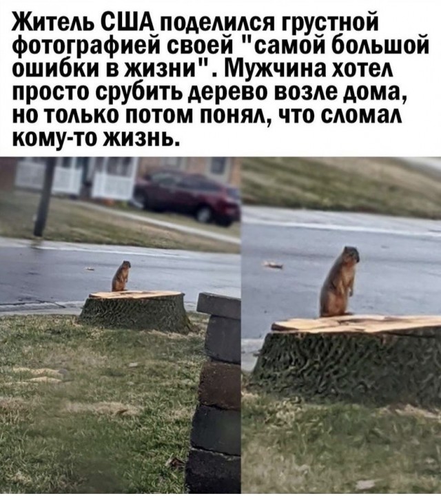 Картинки и мемы, всем прекрасных выходных