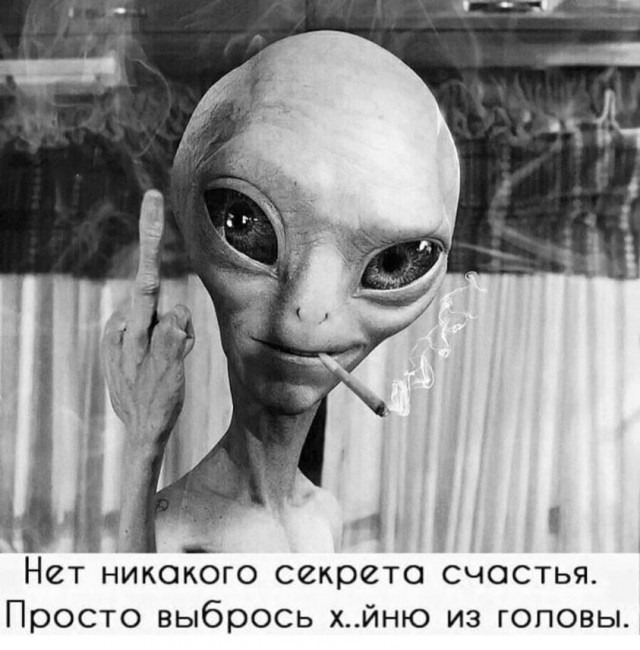 Бредзона 10.10.2021