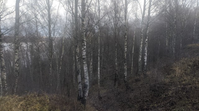 Моя мобильная фотография