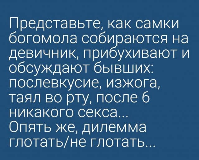 Всяческие картинки 19.11.2021