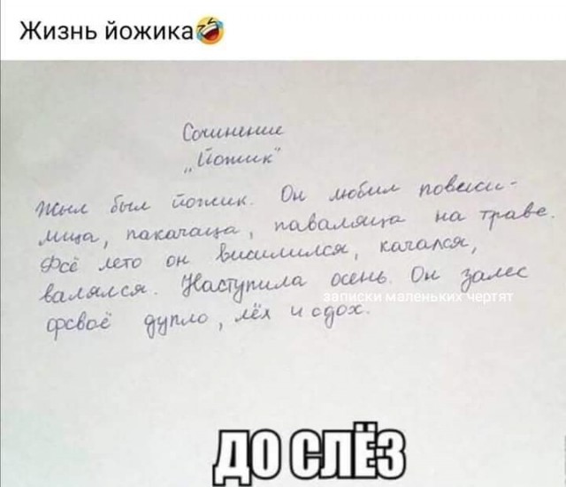 Всяческие картинки 15.12.2021
