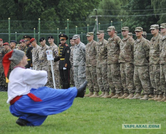 В НАТО дают украинским офицерам на изучение английского языка три года