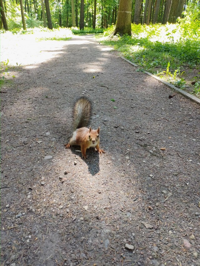 Фотки с телефона.