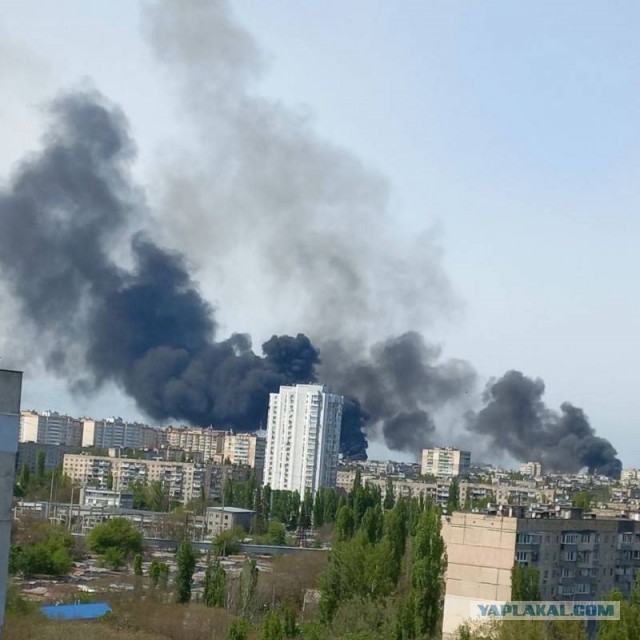 Российские военные сбили два самолета и три вертолета ВСУ над островом Змеиный⁠⁠