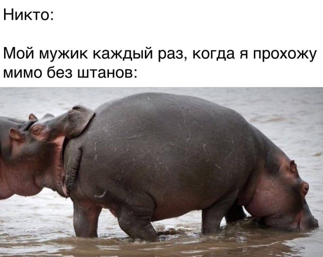 Пятница. И немного слегка пошлых картинок с надписями и без 16+ (13.05)