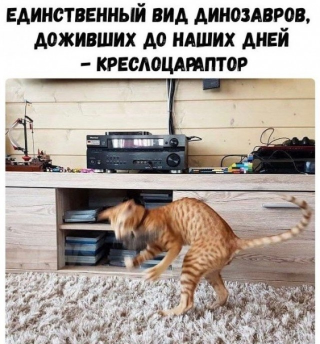 Так себе картинки 19.05.22