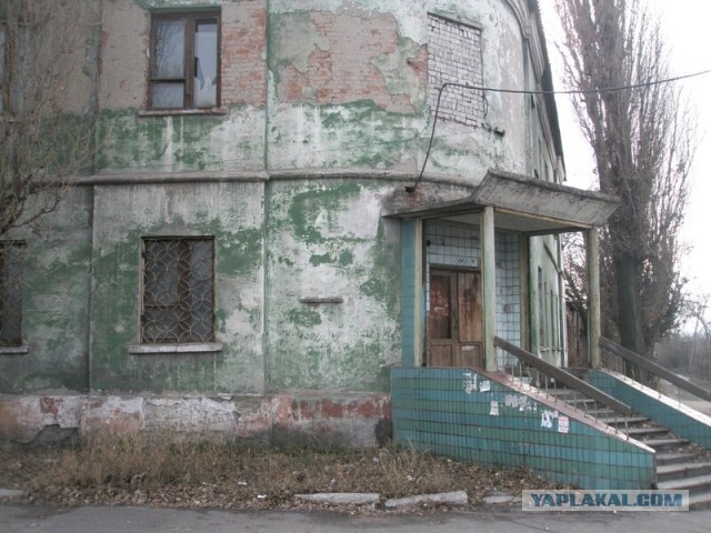 Дегустация настоящего Жигулевского