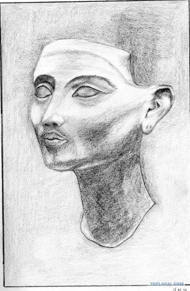 Рисунки
