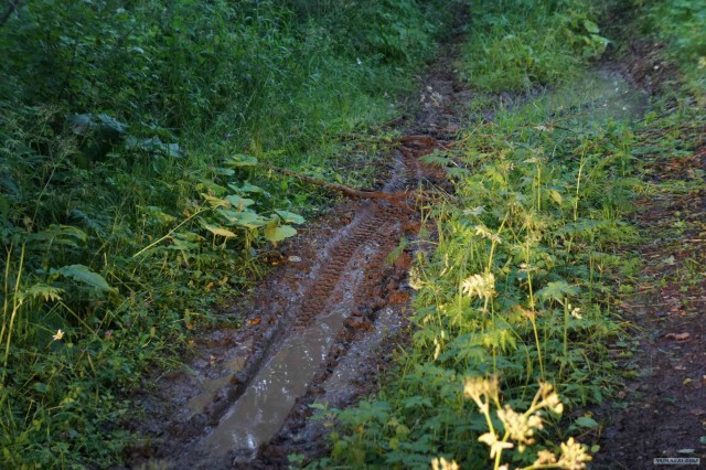 Экспедиция Тамбов-Карелия (бесов нос).