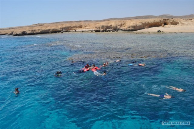 Как я ездил в Египет