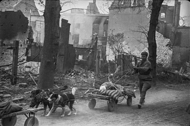 Несколько исторических (и не только) фото в хаотичном порядке и разной степепни баяности - 10