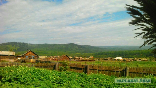 Только самолетом можно долететь - Кактолга
