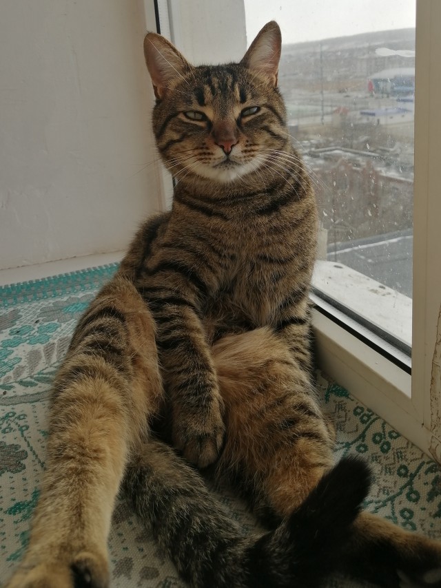 Дождалась