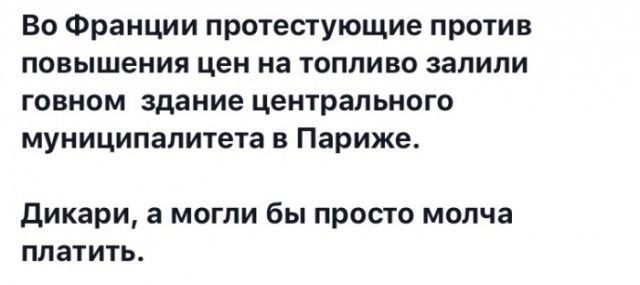 Путин прокомментировал протесты против пенсионной реформы Франции