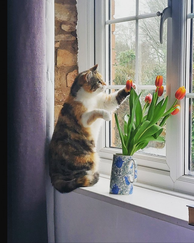 Подборка интересных и прикольных фото из Сети 01.04.23