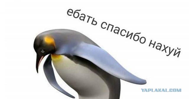 Антивоенный комитет Израиля