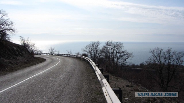 Крым в феврале или "Не стреляйте в белых лебедей!"