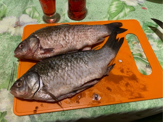 Настоящая рыбалка онлайн