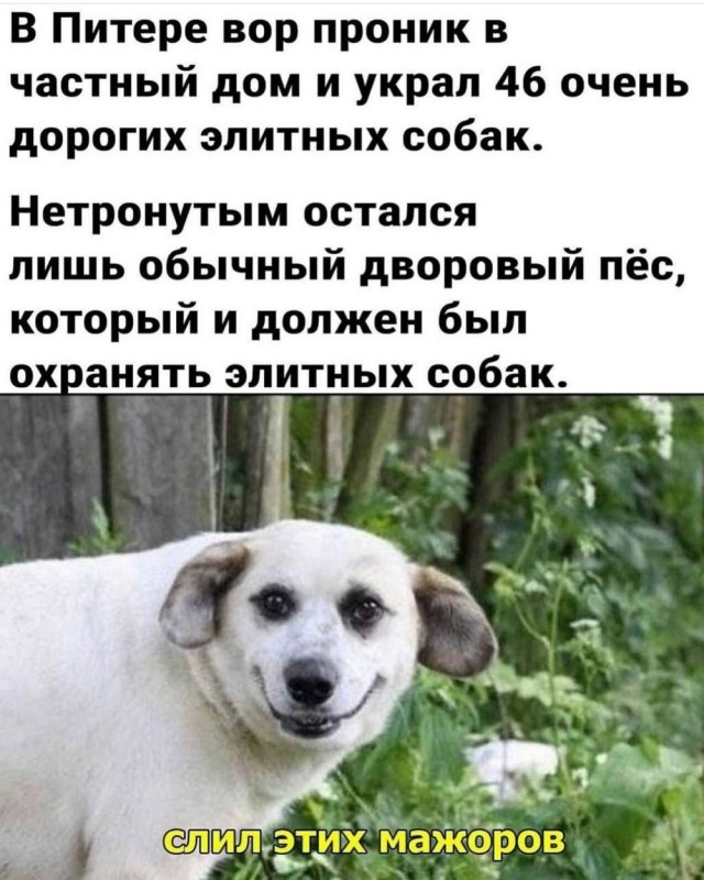 Отряд быстрого деградирования