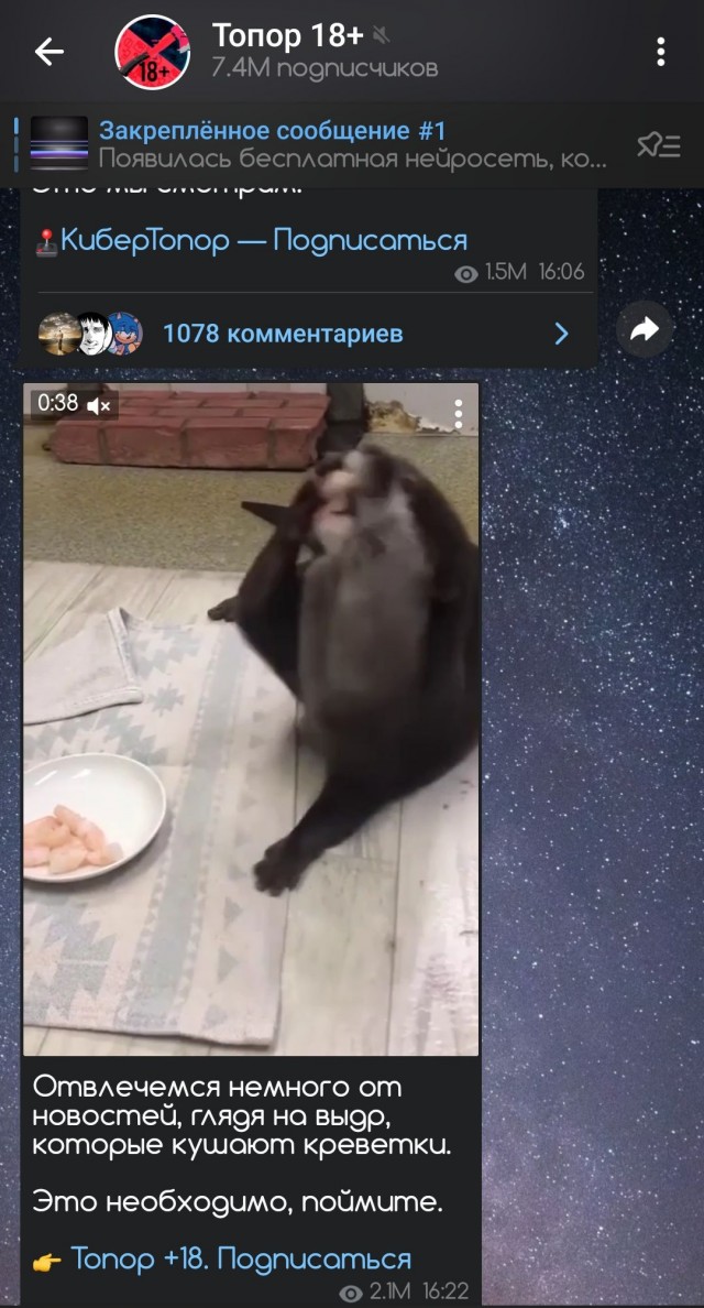 Отвлечемся немного от новостей, глядя на выдр, которые кушают креветки