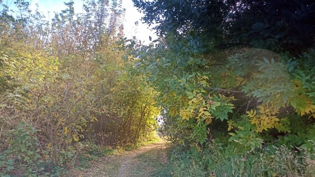 Как я на море поехал, а оказался в горах