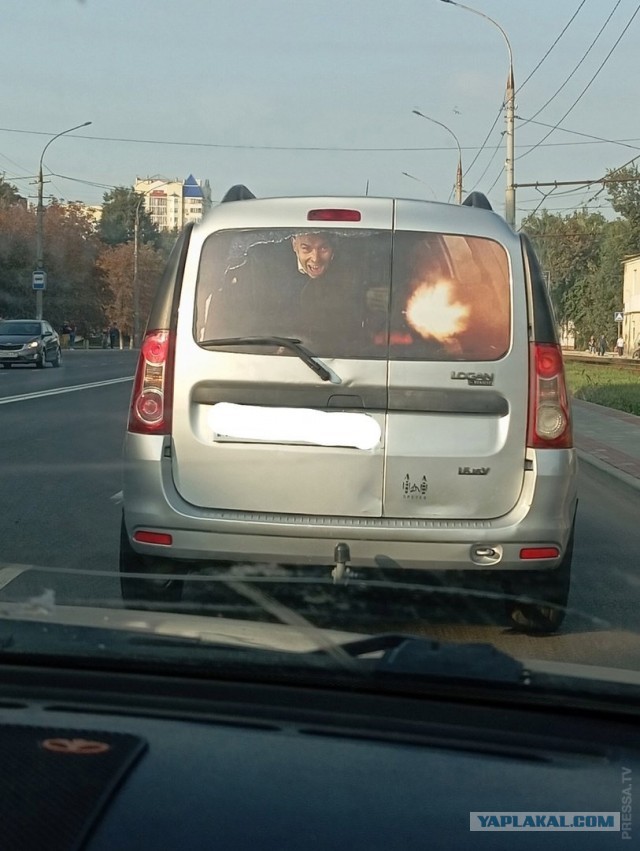 Забавные картинки ...