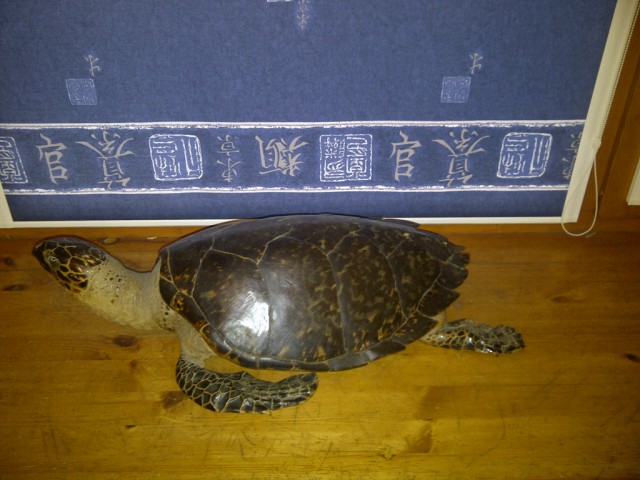 Сходил за пивом, называется...