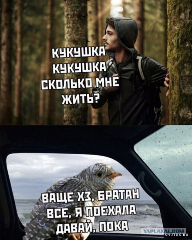 Пятничные картинки 19.01.2024