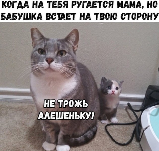 ТРРРРРидцать тРРРРРи от 22 маРРРРта!