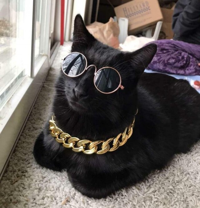 Фотосмесь 07.05.24