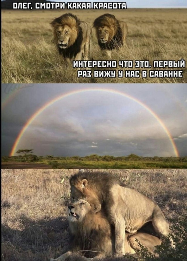 Всего понемногу. От 22.05.2024