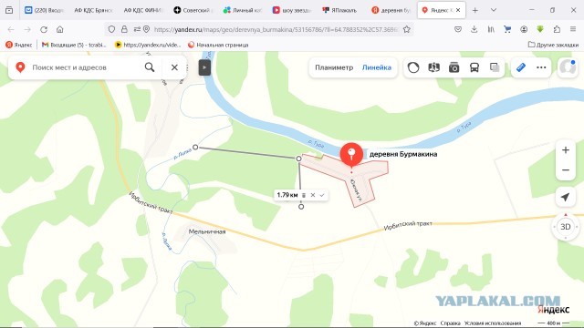 В Свердловской области дед потерял двоих внуков в лесу и пришел домой