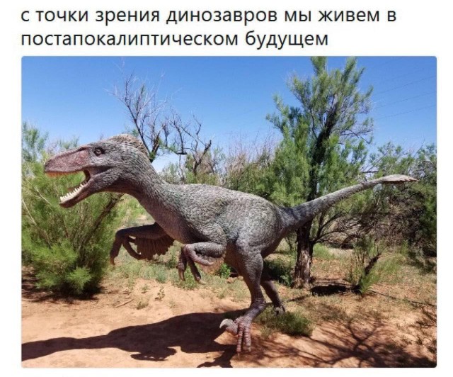 Никакие картинки