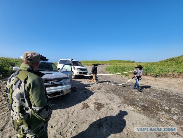 Безумству храбрых поем мы песню или Камчатка я опять вернулся.