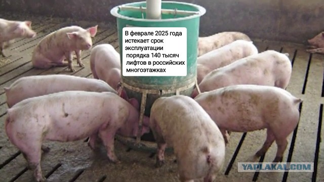 Платный проезд на лифтах в РФ, только плюсы для людей и экономики. Справедливость для жильцов и радость для лифтовиков