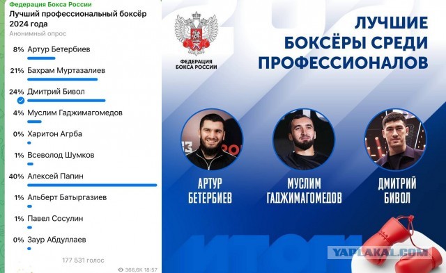 Федерация бокса России