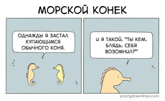 Так себе картинки 24.05.25