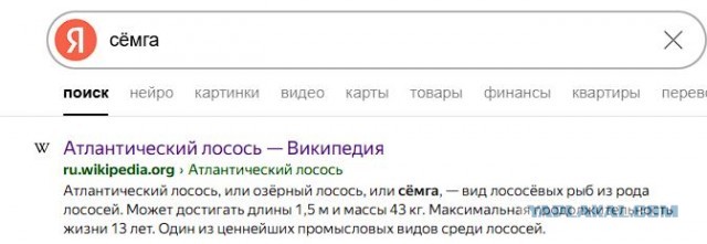 Лосося не существует