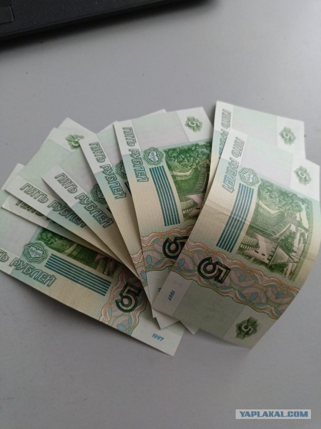 Испанские слизни уже начали появляться в Москве