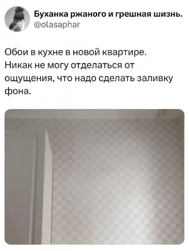 Мемы и картинки