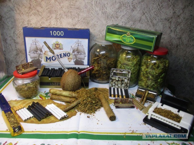 Наш табак все прёт в рост.