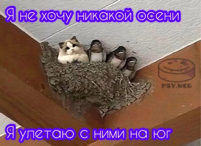 Прикольные и просо красивые картинки 05.09.2025