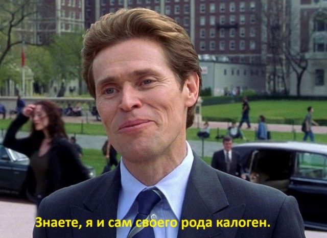Научные факты почему жить с котом — это хорошая идея